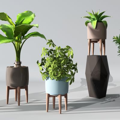 植物盆景绿植花盆