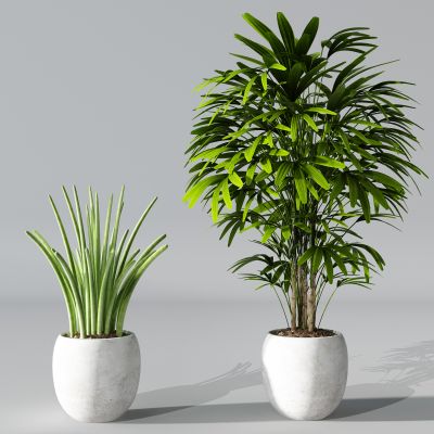 植物盆景盆栽绿植花盆