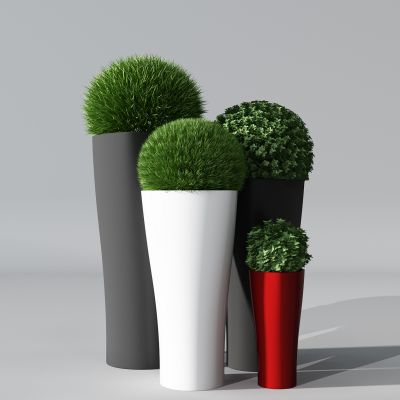 植物盆景盆栽绿植花盆