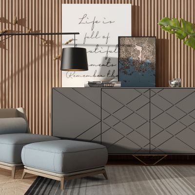 现代装饰柜电视柜摆台休闲躺椅卧榻