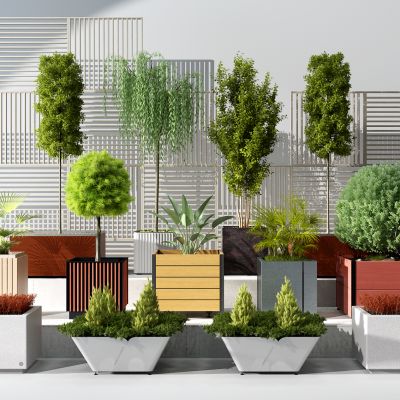 景观植物盆景盆栽绿植花池花槽景观树