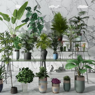 植物绿植盆栽花盆花架芭蕉叶