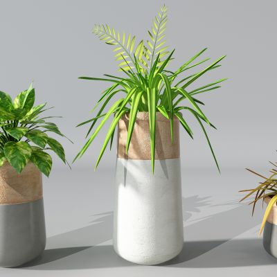 植物绿植盆栽花盆