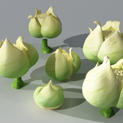 卡通植物花骨朵