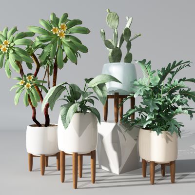 植物绿植盆栽花盆