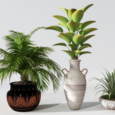 植物盆景盆栽绿植花盆