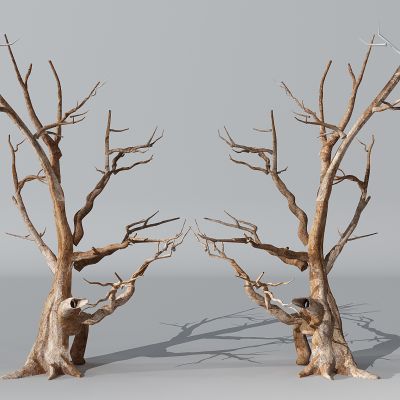 枯树树枝树干枯木木桩