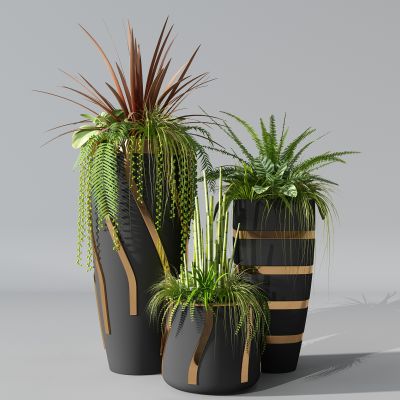 植物盆景盆栽绿植花盆