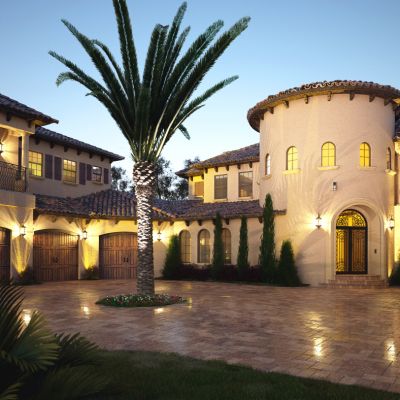 欧式山庄乡村别墅庭院植物景观配景植物椰子树城堡国外