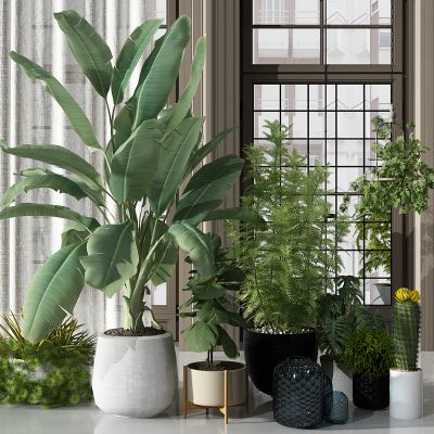 现代植物盆栽花盆绿植纱帘