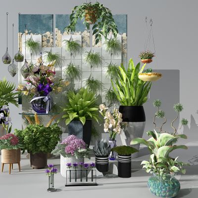 植物绿植盆栽花盆花架芭吊篮壁挂植物插花