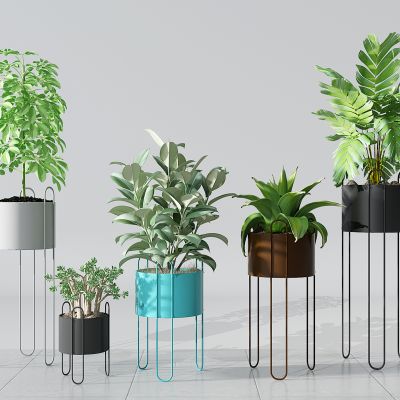 阳台植物盆景盆栽绿植花盆