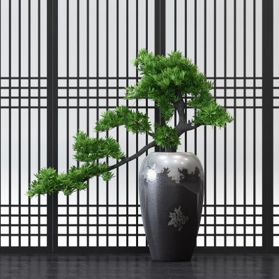 新中式景观松树植物盆栽盆景陶罐