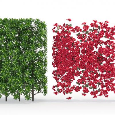 植物树（代理）