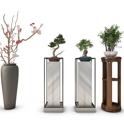 中式盆栽植物组合