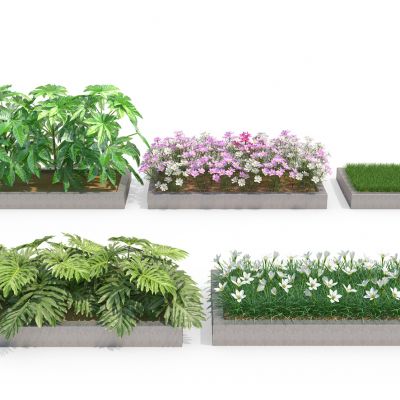 室外矮植物（代理）