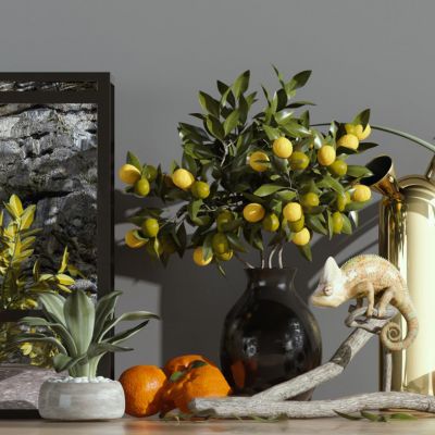 植物摆件盆栽变色龙