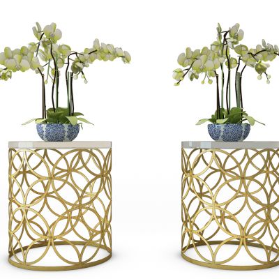 圆几灯几花瓶蝴蝶兰