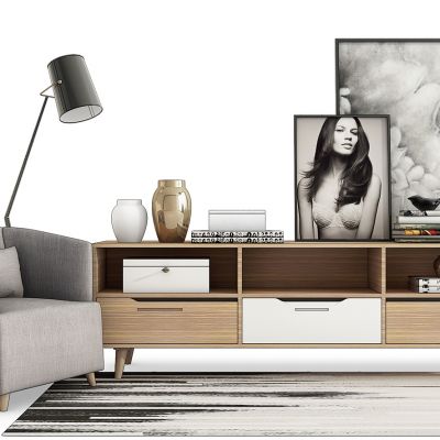 现代电视柜休闲沙发落地灯装饰摆件组合