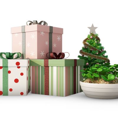 礼盒礼物圣诞树摆件