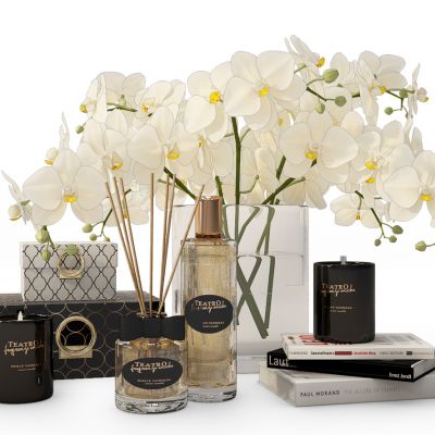 花瓶摆件插花化妆品兰花蝴蝶兰