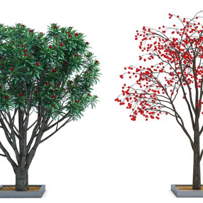 室外绿植树（代理）