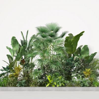 植物组合  花草  绿植堆