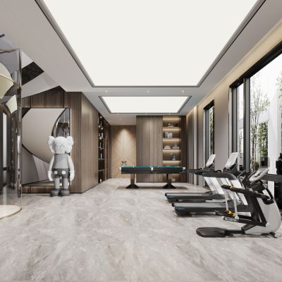 现代娱乐室，健身房