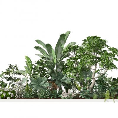 植物堆  绿植组合
