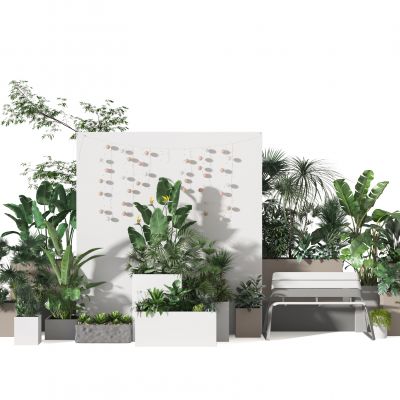 植物  景观 庭院