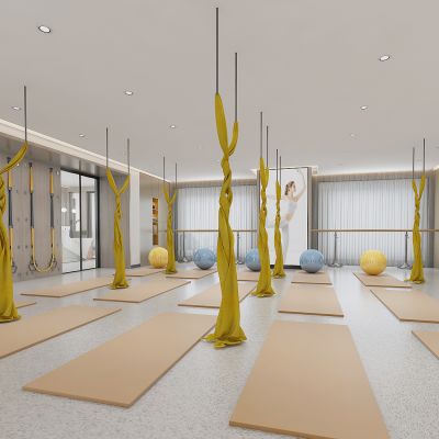 现代瑜伽室
