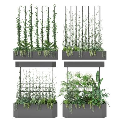 盆栽  装饰  藤蔓