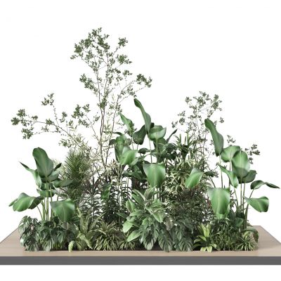 植物组合  绿植堆