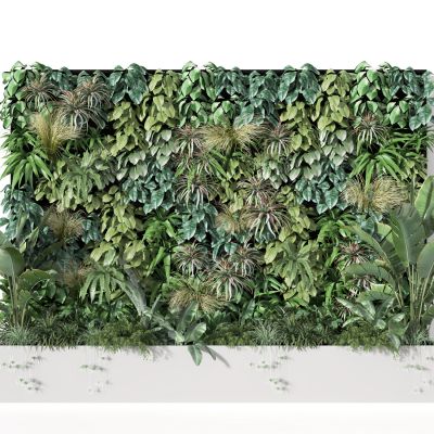 植物墙  装饰  背景墙