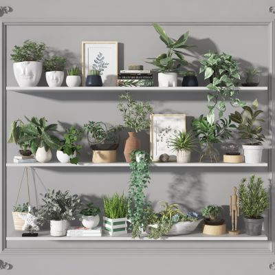 盆景    盆栽摆件