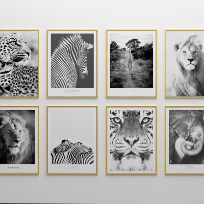 美式非洲野外动物黑白装饰挂画