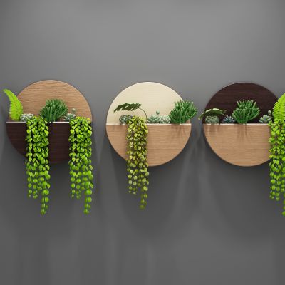 北欧现代 多肉植物 背景墙