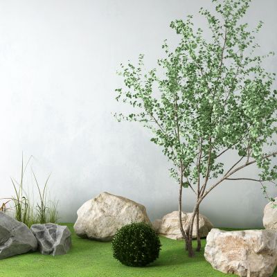 现代景观树 石头 草