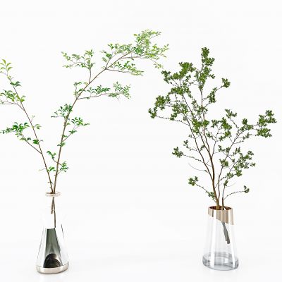 现代植物_绿植_盆栽