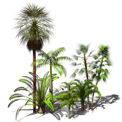 东南亚风格树木