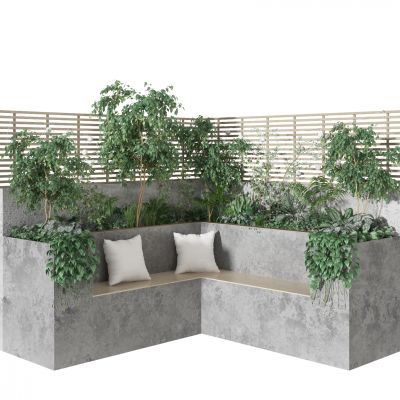 庭院景观  植物