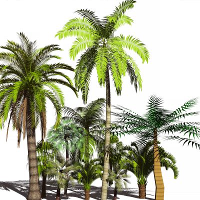 东南亚风格树木