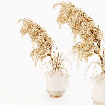 侘寂风花艺,干花,芦苇,花瓶