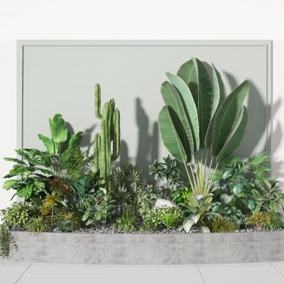 植物 盆栽  景观