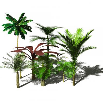 东南亚风格树木