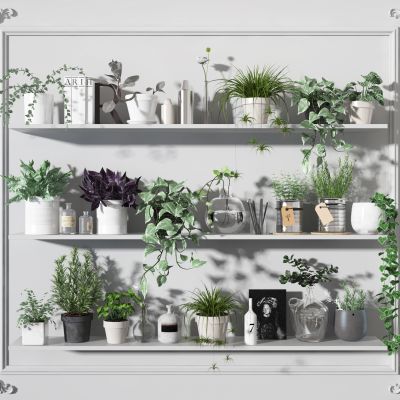 植物架  盆栽  装饰