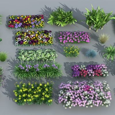 现代花草 灌木 景观组合 植被 鸢尾 牵牛花 鸟巢蕨 睡莲