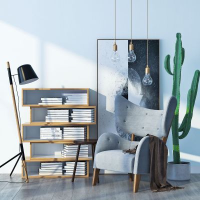 现代单人沙发 书架摆件组合