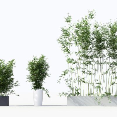 中式竹子绿植盆栽组合