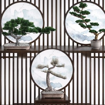 新中式迎客松盆栽植物组合